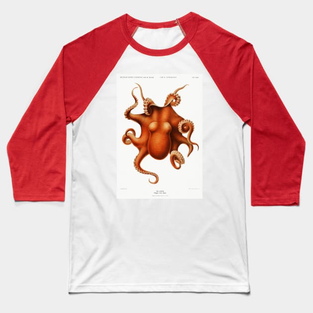 Octopus Baseball T-Shirt by zmudart